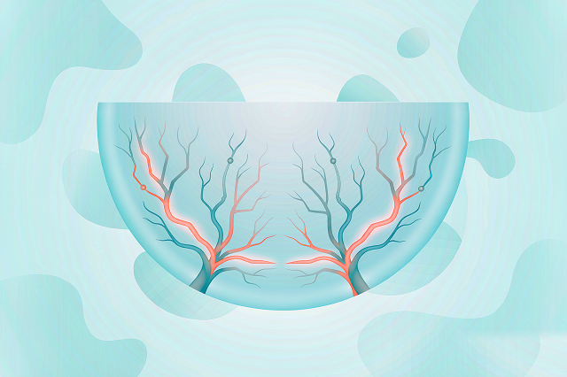 Clean_scientific_medical_illus_2026-09-24T09-07-03_nowm.png